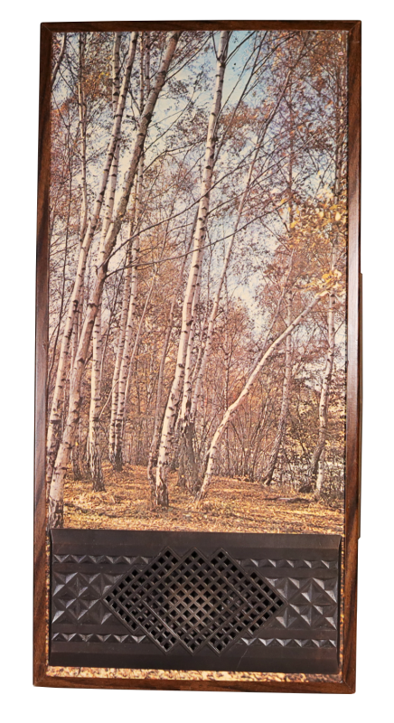 radio-image_IMG_6917